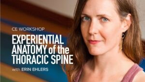 CE Workshop | Experiential Anatomy of the Thoracic Spine