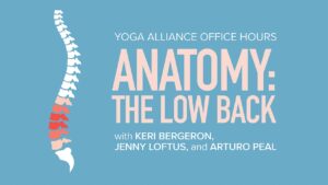Yoga Alliance Office Hours | Anatomy: The Low Back
